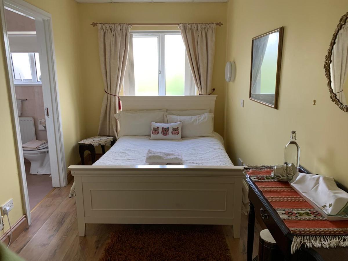 The Mourne Lodge "Cnocnafeola" 뉴리 외부 사진